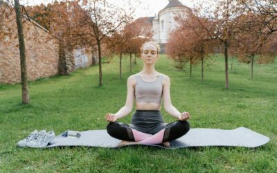 Holistic Living Harmony: A Total Wellness Approach